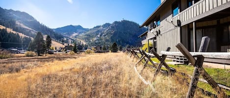 Fall means leaves are changing, winter is coming but there is still much to do in the meadow and at the base of Palisades