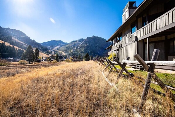 Fall means leaves are changing, winter is coming but there is still much to do in the meadow and at the base of Palisades