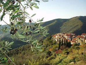 Vue aérienne