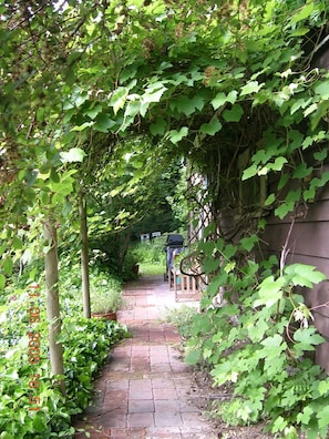 Grapevine and wisteria pathway to suite