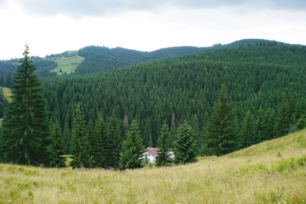 Rija Land, a rural retreat in the Bucovina mountains