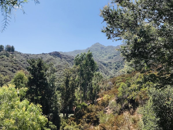view of canyon from upstairs deck--great place for meditation, yoga, or chillin'