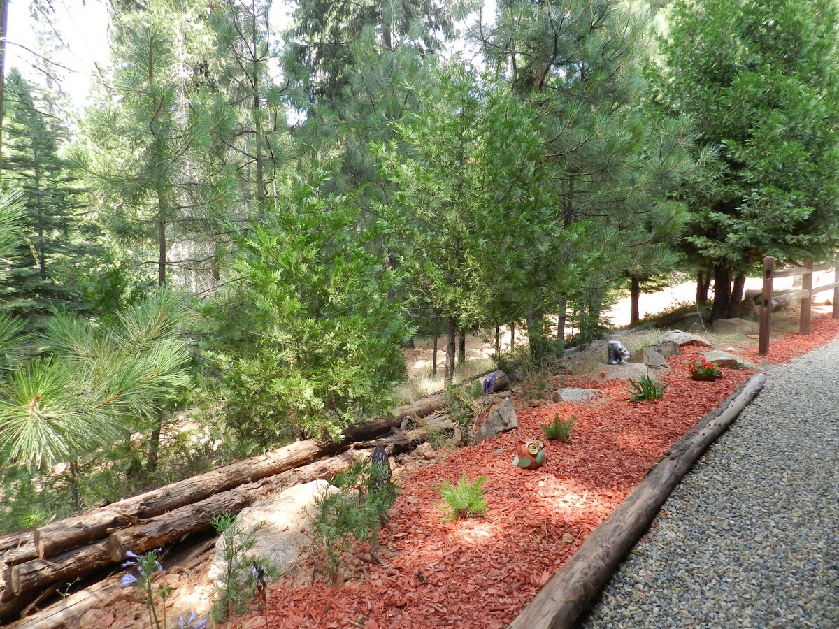 Sugar Pine Cabin in beautiful Mariposa Pines