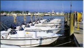 Marina