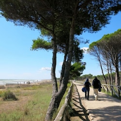 Place