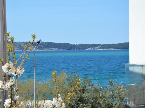View
