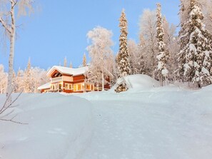 Ulkopuoli