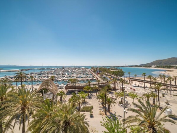 Vue sur la plage ou l’océan