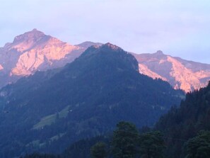 View