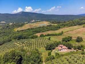 Aerial photography
