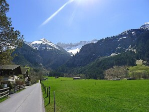 View