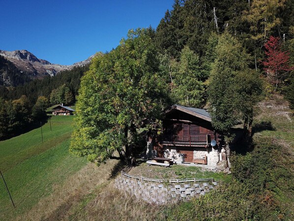 Exteriör