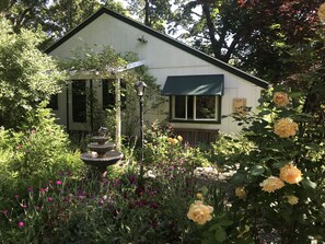 Front of cottage through rose garden