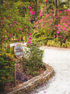 Jardines del alojamiento