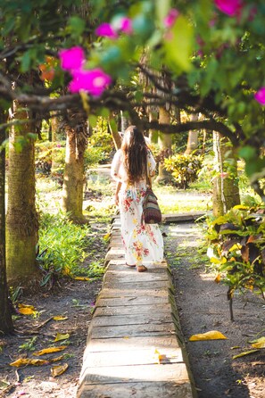 Jardines del alojamiento