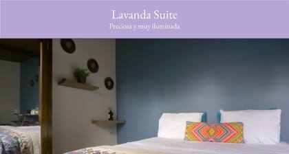 Lavanda Suite Polanco