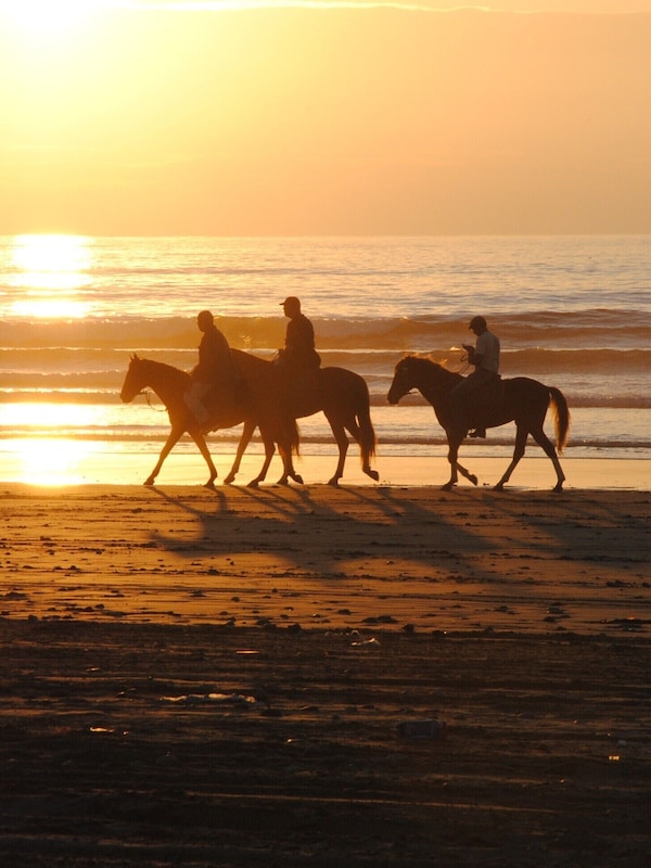 Strand