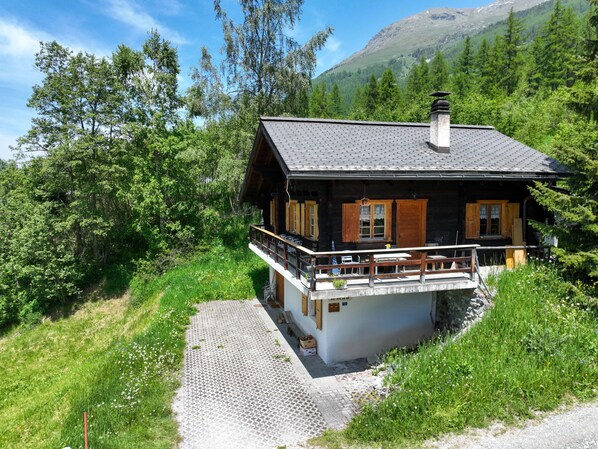 Exteriör