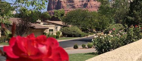 Beautiful view of Courthouse Butte from front patio