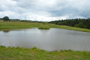 Pesca