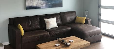 Living room sectional with pull out bed
