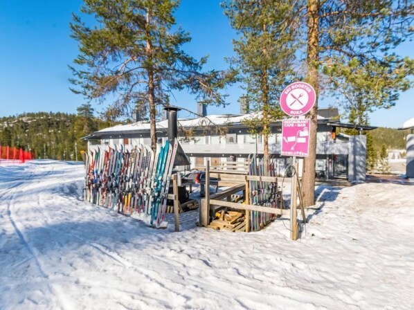 Wintersport/Ski