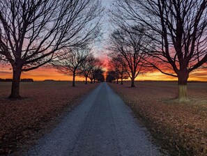 Front Drive, Late Fall Sunset