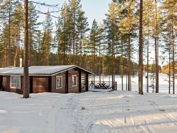 Exteriör