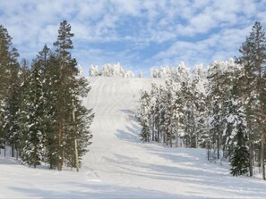 Sneeuw- en skisporten