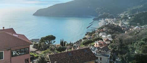 Vue sur la plage ou l’océan