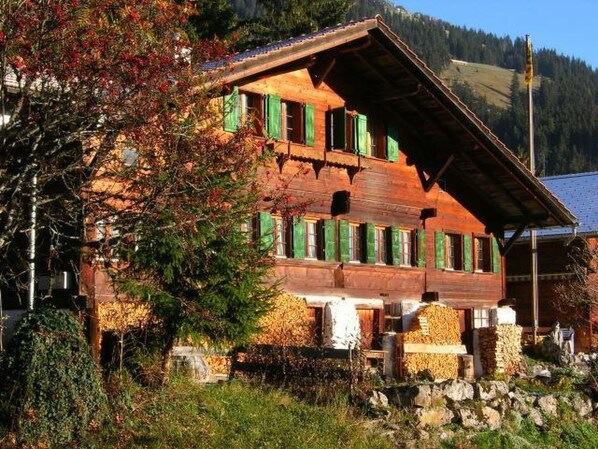 Exteriör