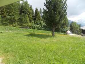 Outdoor