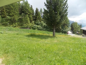 Outdoor