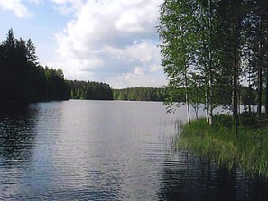 Järvi