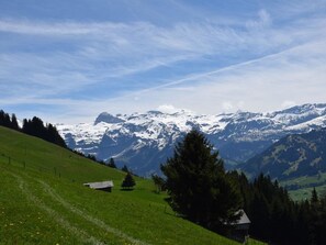 View
