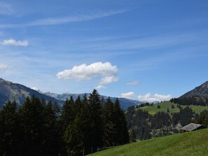 View
