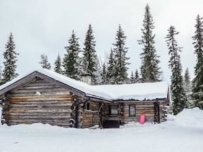 Extérieur