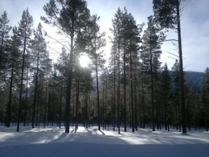 Esportes de neve e esqui