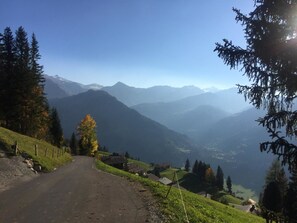 View