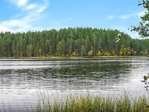 湖