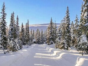 Esportes de neve e esqui