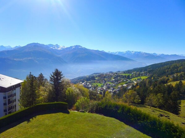 View