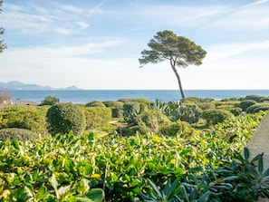 Jardines del alojamiento