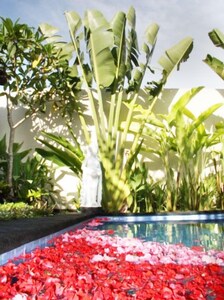 2 Bedroom and pool Villa in Kuta Bali