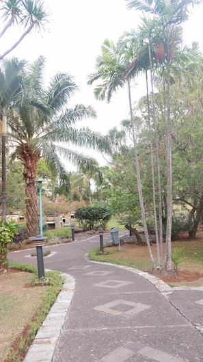 Jogging trails and garden