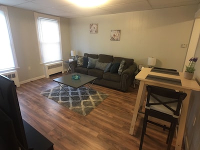 1 bedroom apartment: Clean, Spacious, Comfortable, Local to everything (Apt 1R)