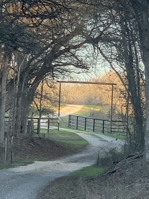 The gravel road takes you to magical Pecan Meadow. Watch for critters. 