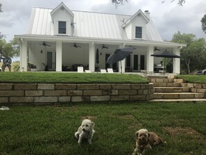 Happy pups love PM. From garden level to top floor, families enjoy whole house.