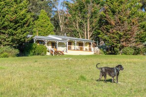 Wooshwood: Enchanting rural getaway, pet friendly (1244)