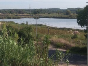 Anciens salins aujourd'hui occupé par les Flamants Rose 